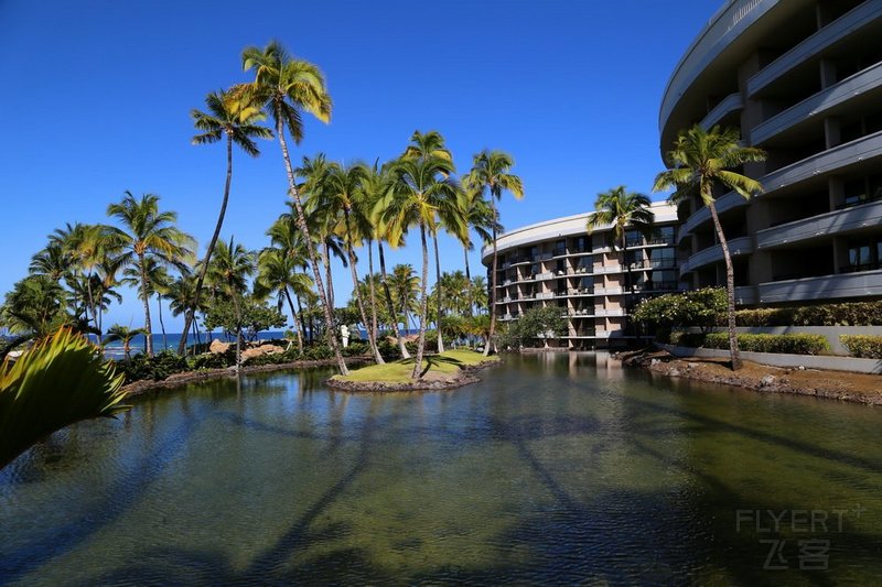 Big Island--Hilton Waikoloa Village Gardens (38).JPG