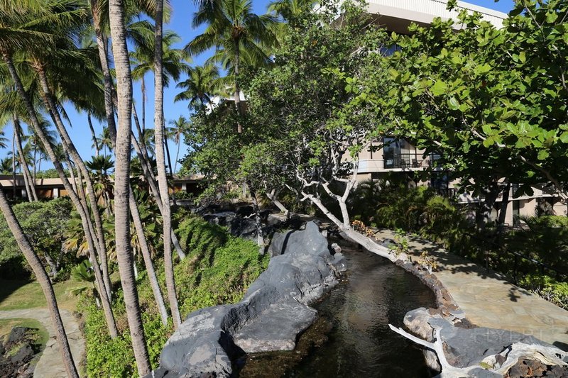 Big Island--Hilton Waikoloa Village Gardens (25).JPG