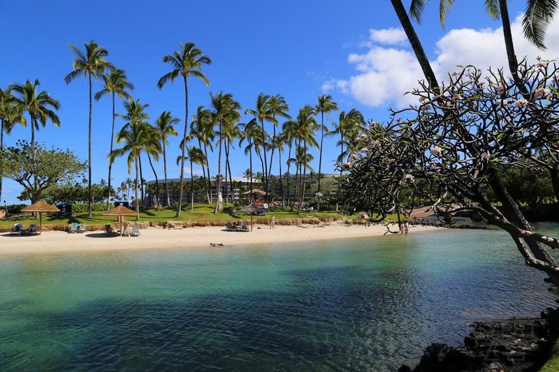 Big Island--Hilton Waikoloa Village Lagoon (9).JPG