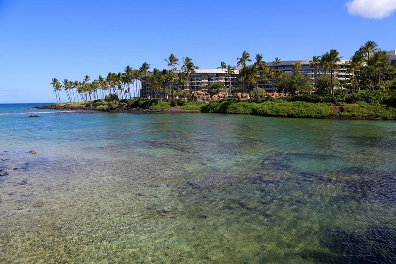 Big Island--Hilton Waikoloa Village Lagoon (16).JPG