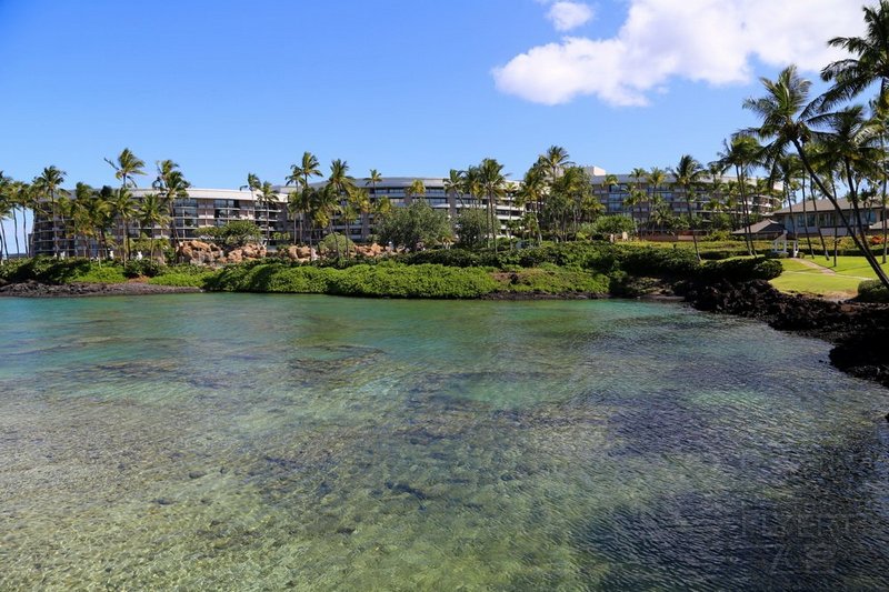 Big Island--Hilton Waikoloa Village Lagoon (17).JPG