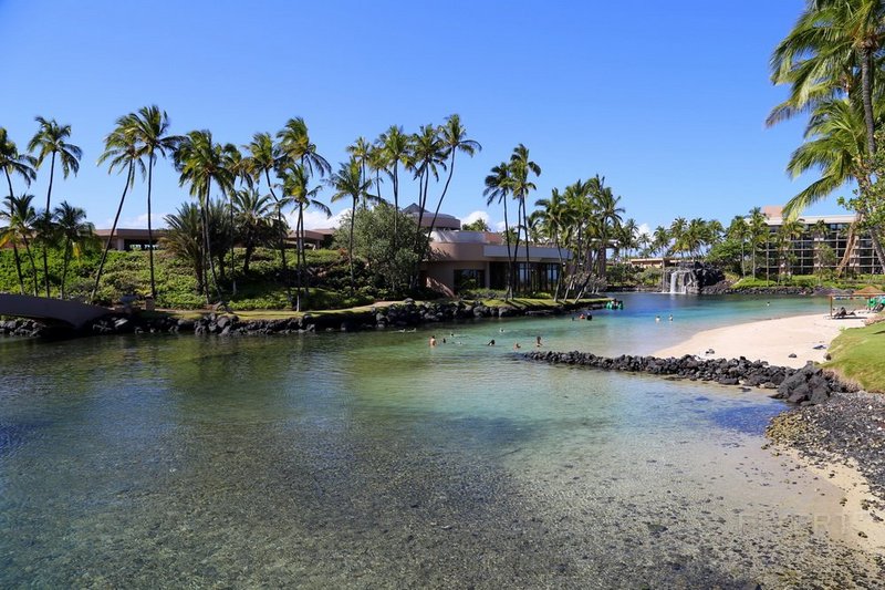 Big Island--Hilton Waikoloa Village Lagoon (18).JPG