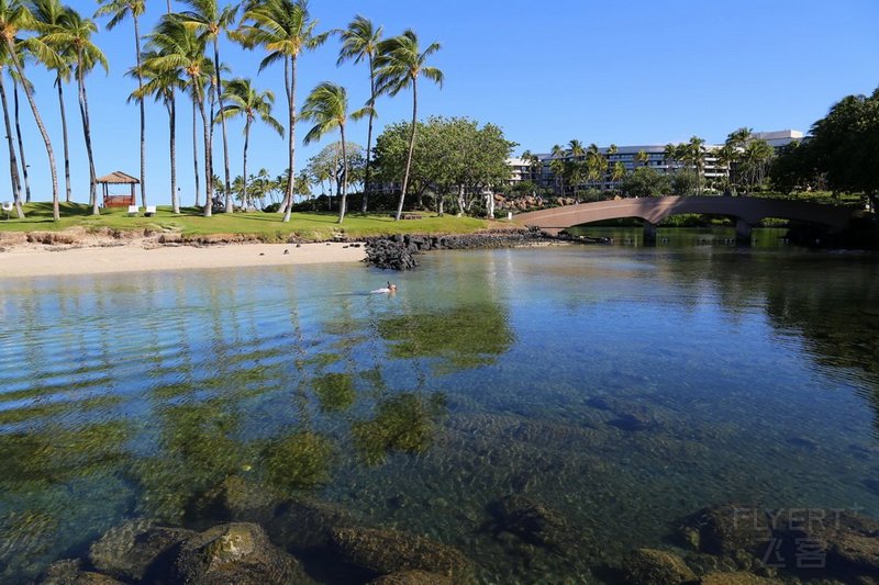 Big Island--Hilton Waikoloa Village Lagoon (14).JPG