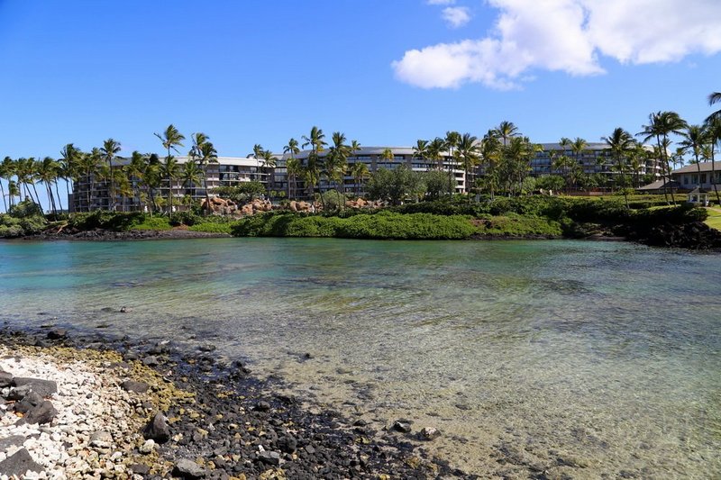 Big Island--Hilton Waikoloa Village Lagoon (19).JPG