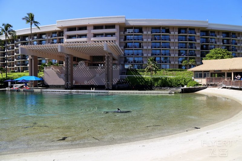 Big Island--Hilton Waikoloa Village Lagoon (33).JPG