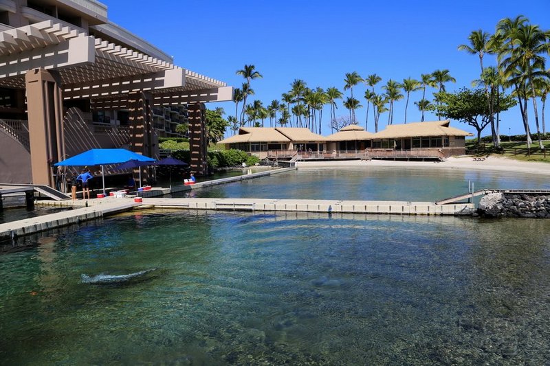Big Island--Hilton Waikoloa Village Lagoon (30).JPG