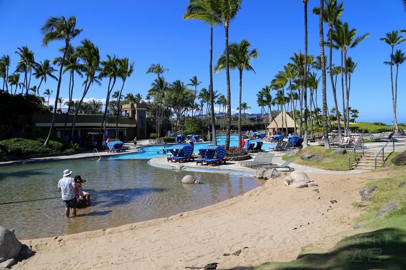 Big Island--Hilton Waikoloa Village Pools (10).JPG