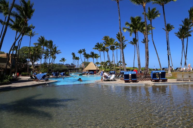 Big Island--Hilton Waikoloa Village Pools (11).JPG