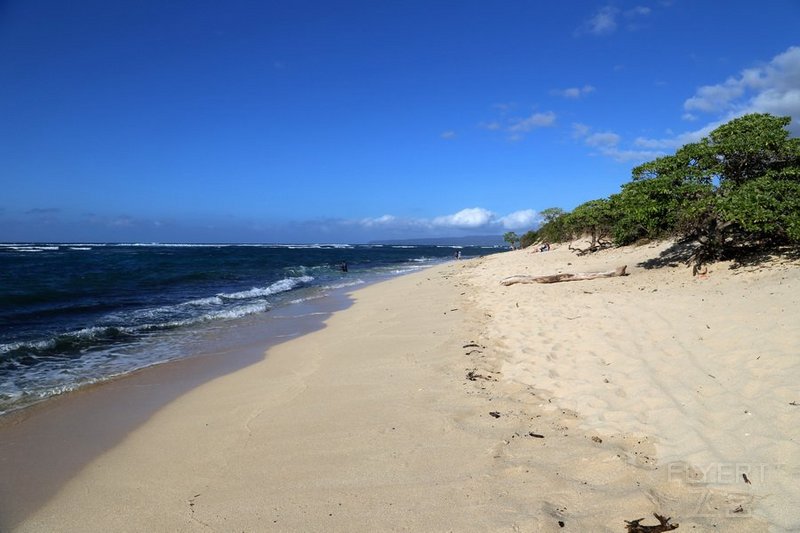 Oahu--Kaena Point State Park (19).JPG