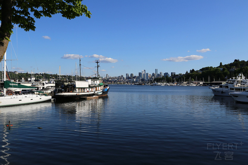 Seattle--Lake Union and Gas Works Park (19).JPG