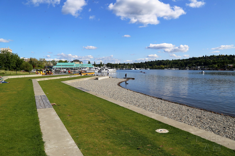 Seattle--Lake Union and Gas Works Park (2).JPG