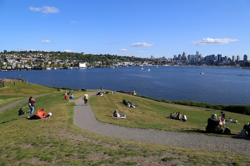 Seattle--Lake Union and Gas Works Park (17).JPG