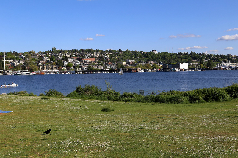 Seattle--Lake Union and Gas Works Park (10).JPG