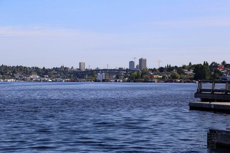 Seattle--Lake Union Park (5).JPG