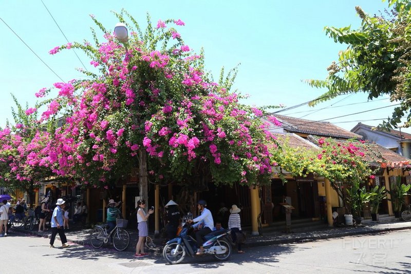 Hoi An (7).JPG