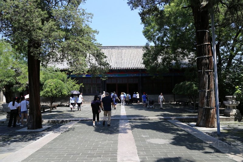 Qufu--Confucius Temple and Mansion (55).JPG