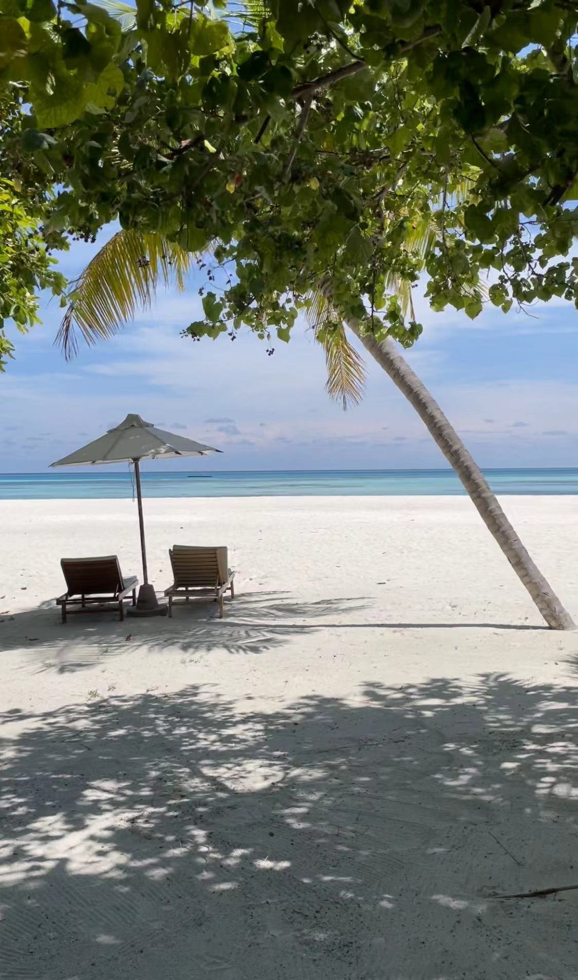 µ֮ - ϰﻷȼٴ壨LUX* South Ari Atoll Resort