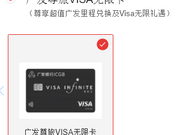 <em>㷢ÿ</em>׵Visa޿Ѿ