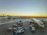 <em>Etihad</em> <em></em> 789& 77W Business Class 