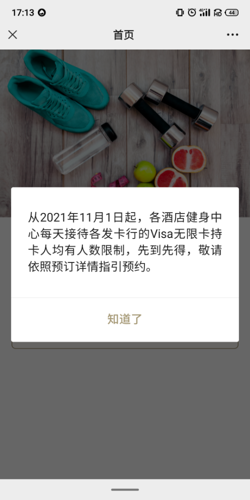 ʯʿvisa޽ů