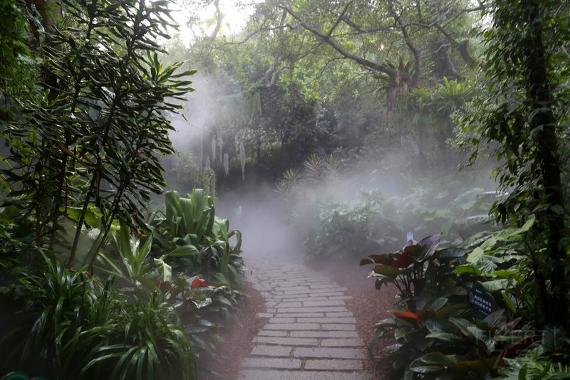 Xiamen--Xiamen Botanical Garden (62).JPG