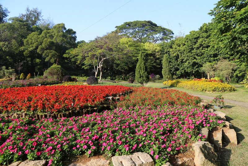 Xiamen--Xiamen Botanical Garden (58).JPG