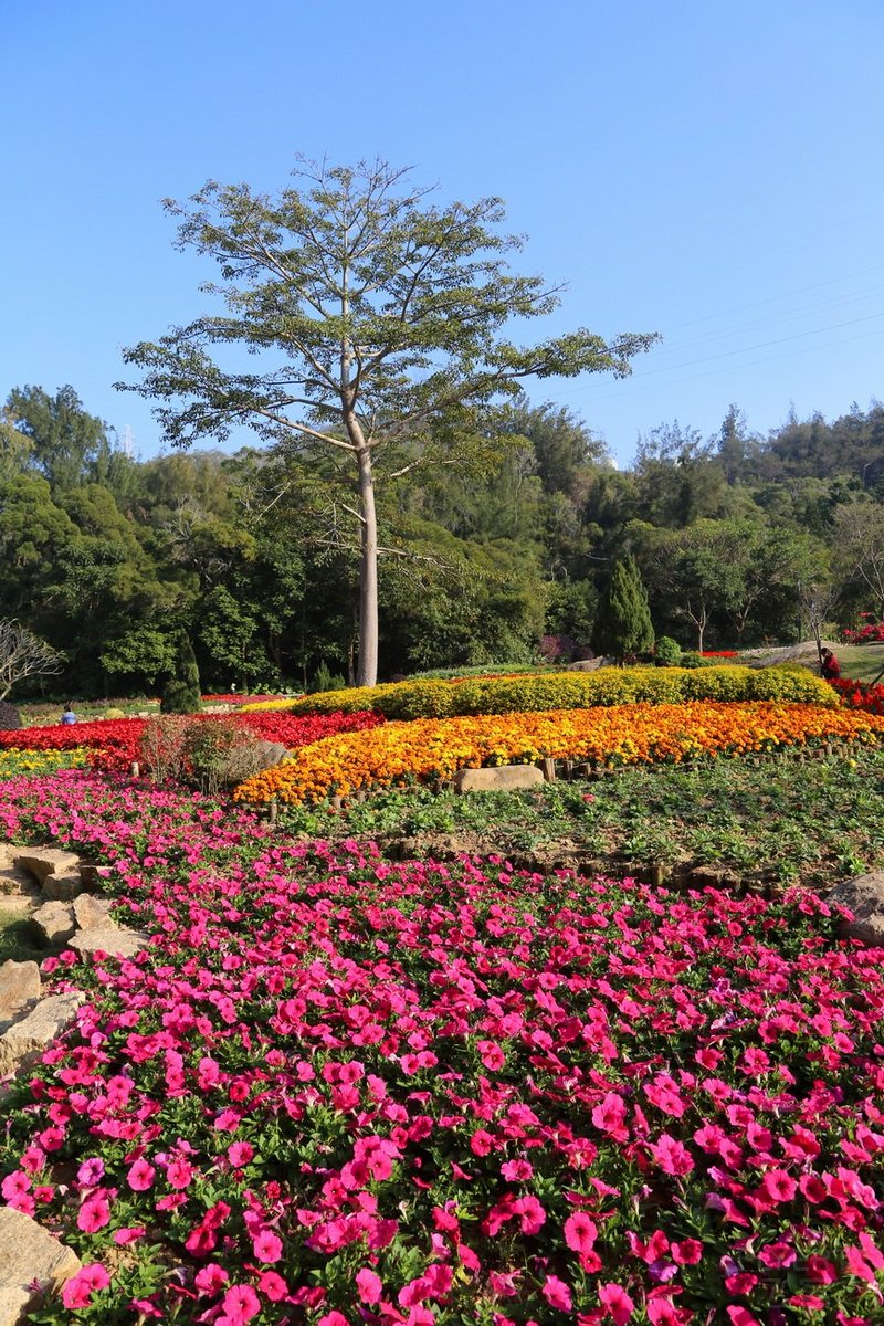 Xiamen--Xiamen Botanical Garden (47).JPG