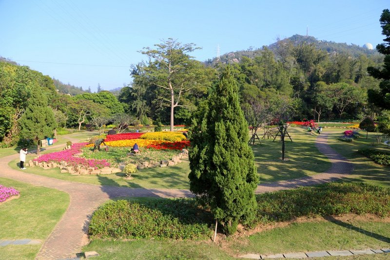 Xiamen--Xiamen Botanical Garden (48).JPG