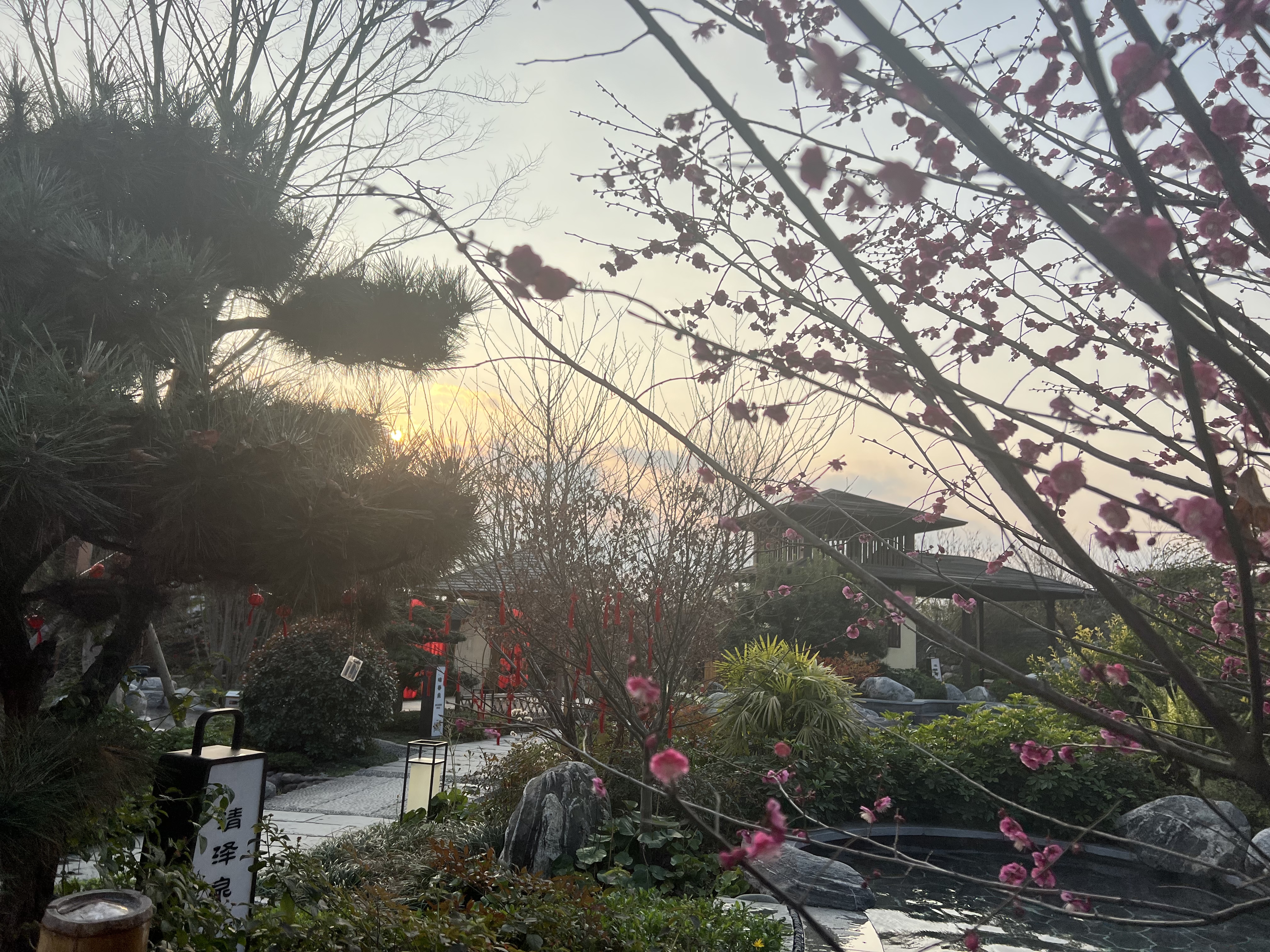 ɶ㽸 Ȫ 鼫