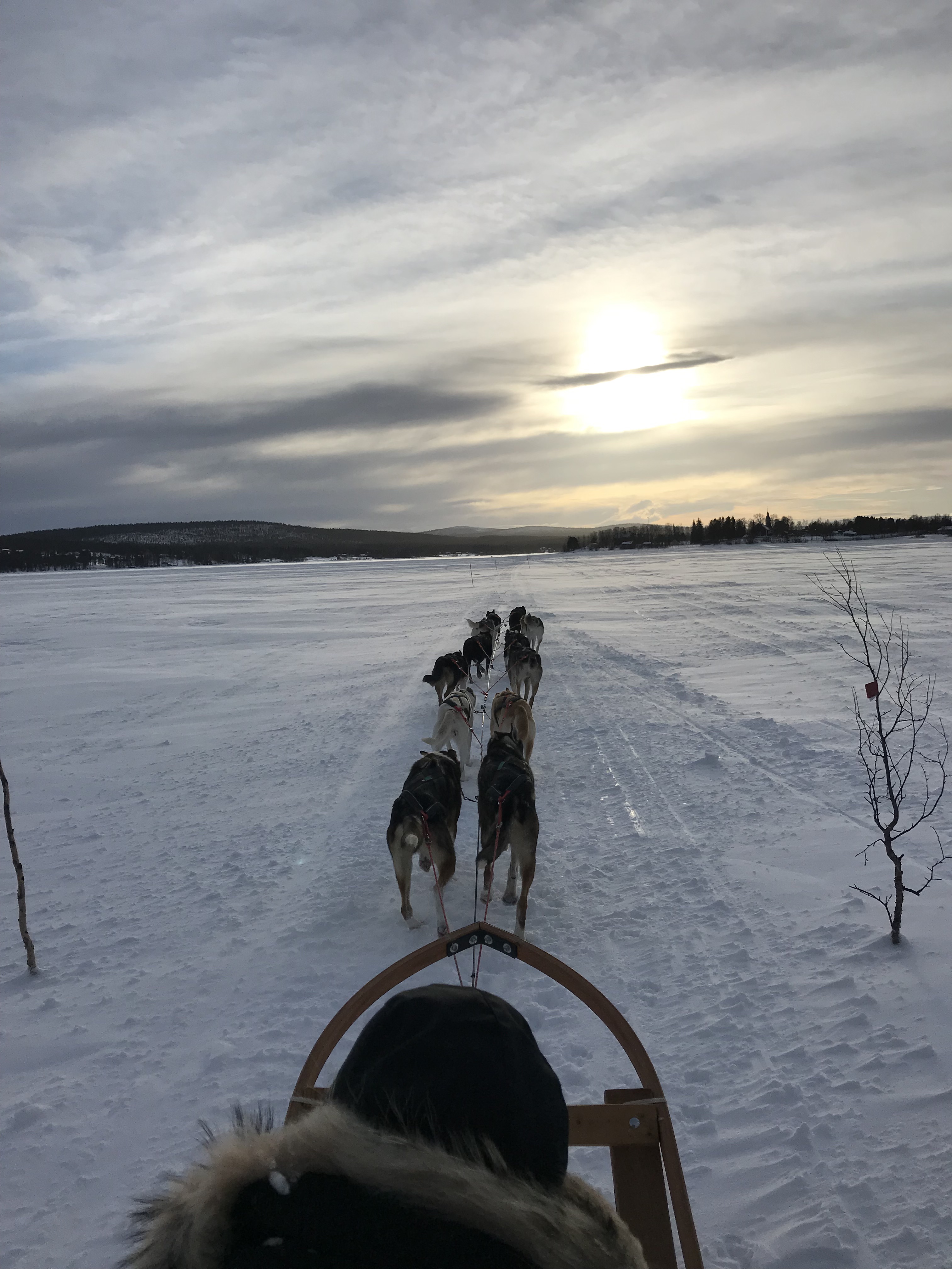 ѩľݡKIRUNA camp ripan