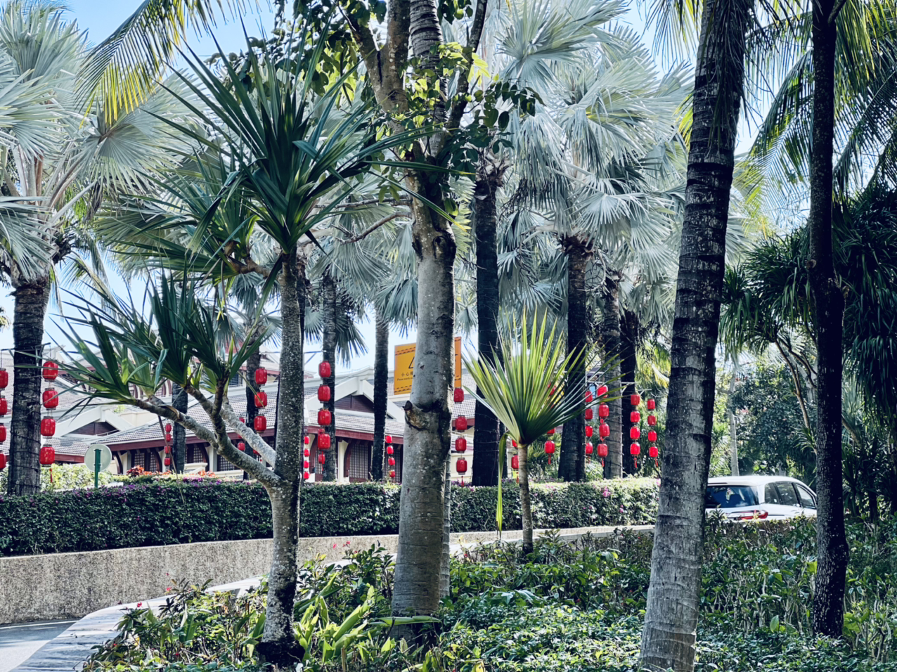 [FANG] ï˼پƵ | The Ritz-Carlton Sanya, Yalong Bay
