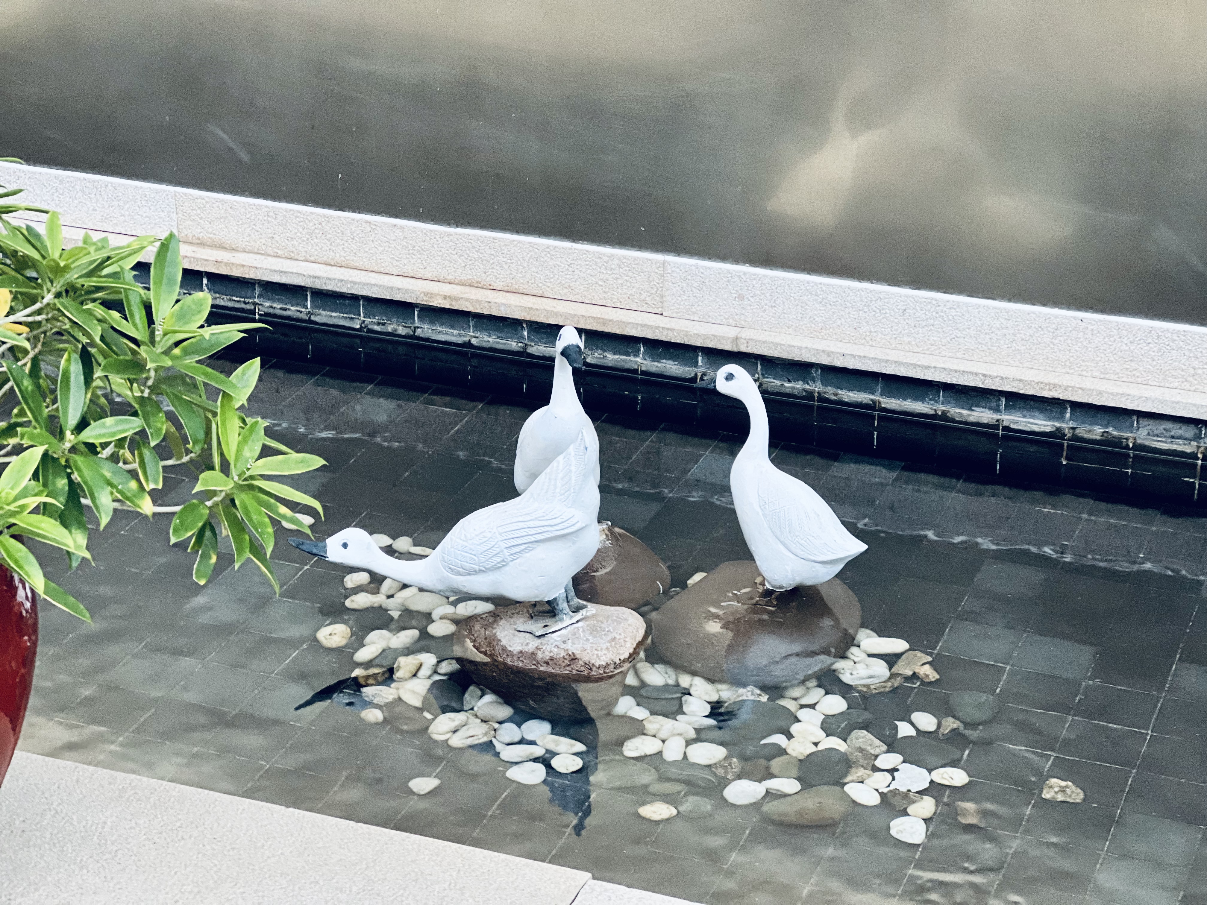[FANG] ï˼پƵ | The Ritz-Carlton Sanya, Yalong Bay