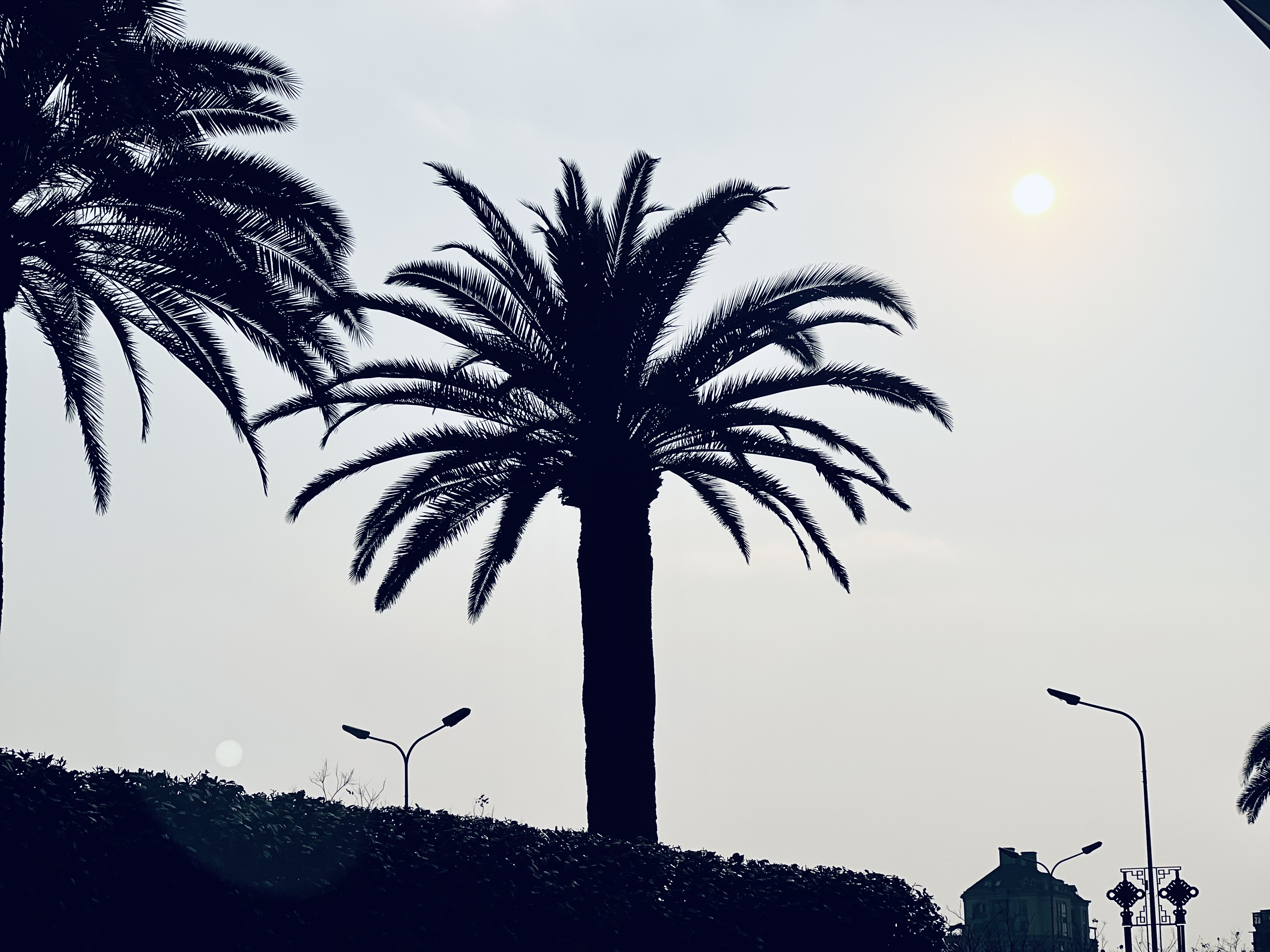 [FANG] W CHANGSHA | ɳWƵ - 