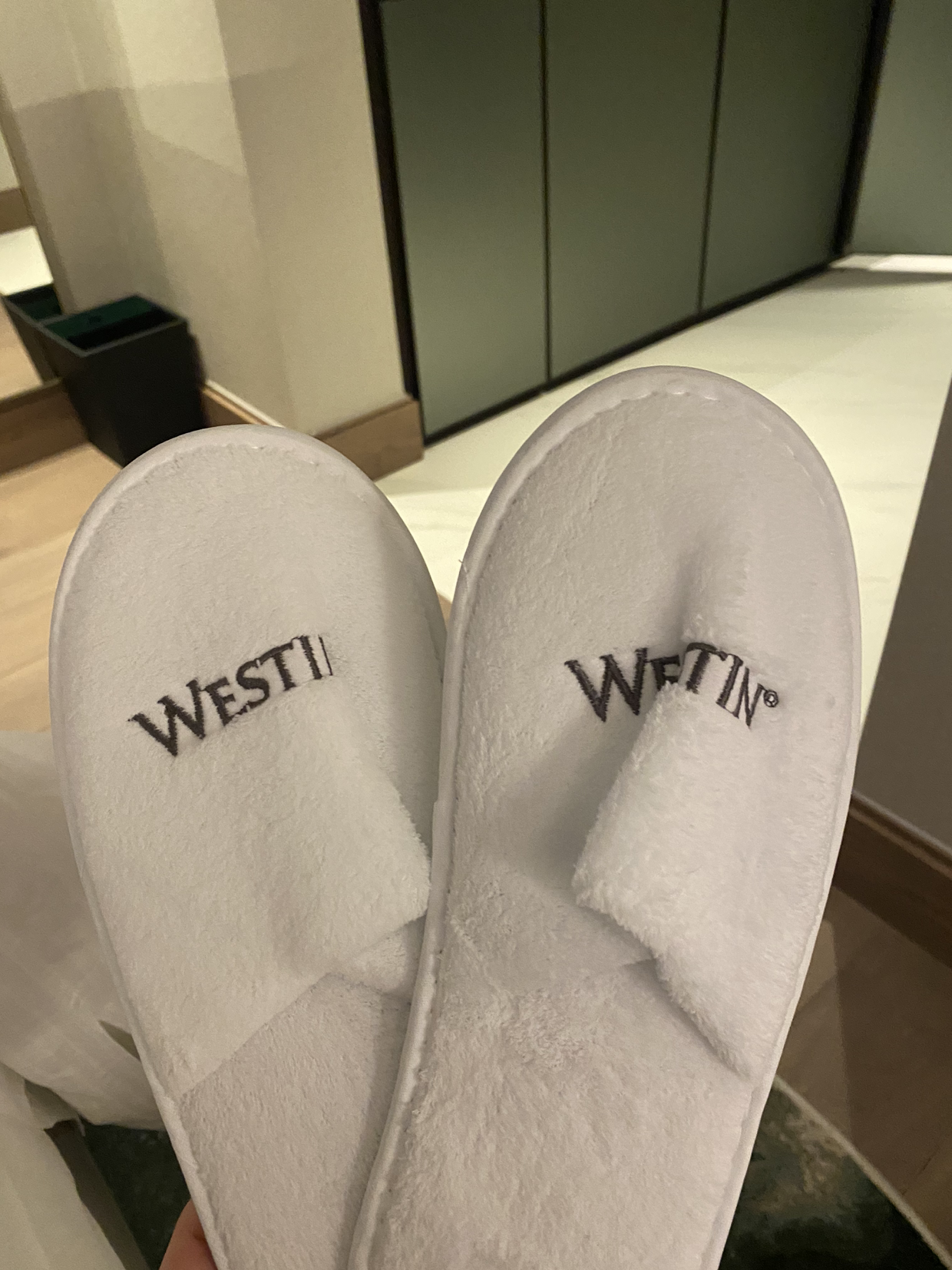 ׶˹͡ Westin Londonеľ֮