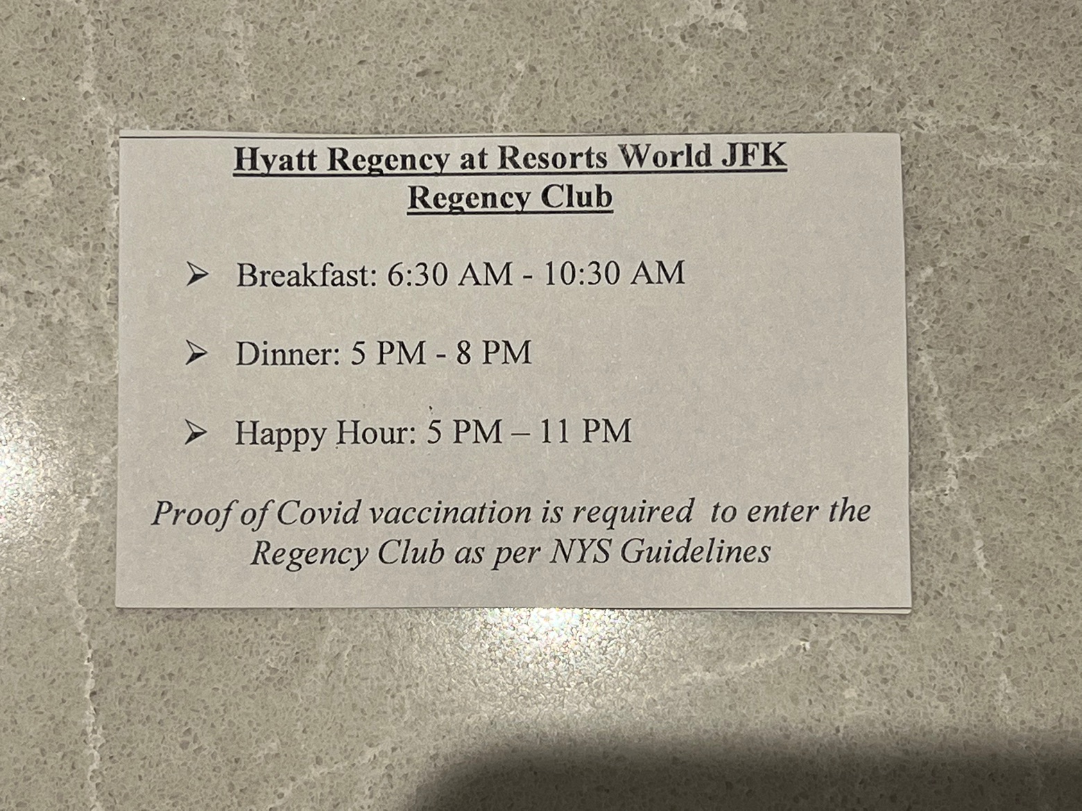 ŦԼʤ/ϻ Hyatt Regency JFK Airport at Resorts World New York