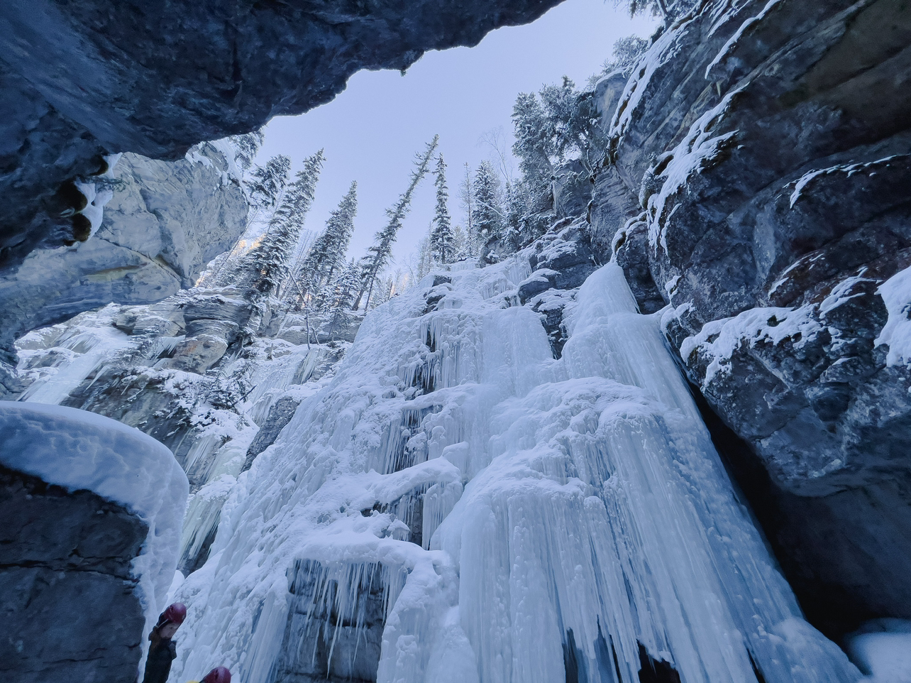 Ѷjasper Park Lodgeȼٴ嶬ס