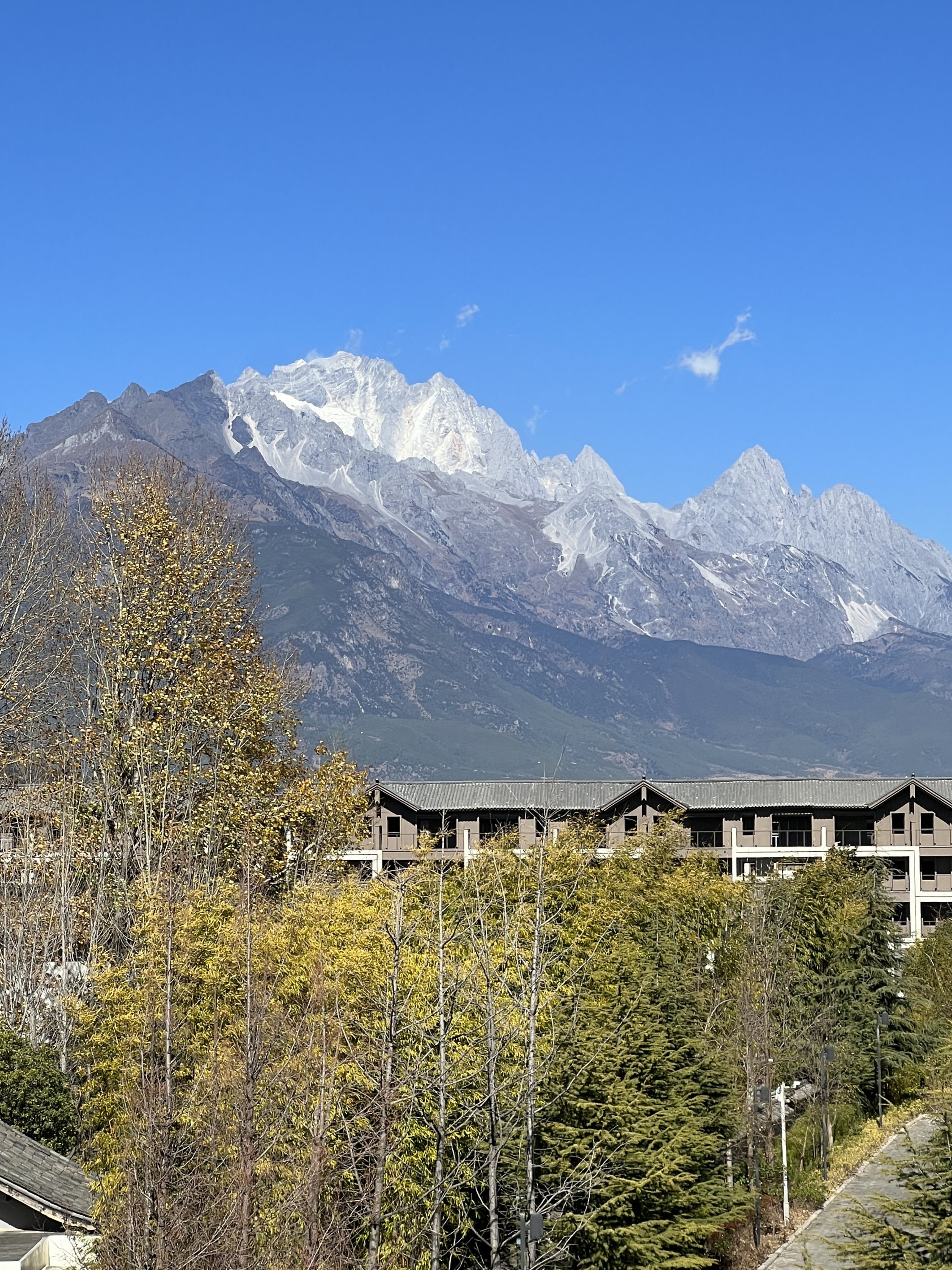 ïѡJinmao Hotel Lijiang׷ѩɽ