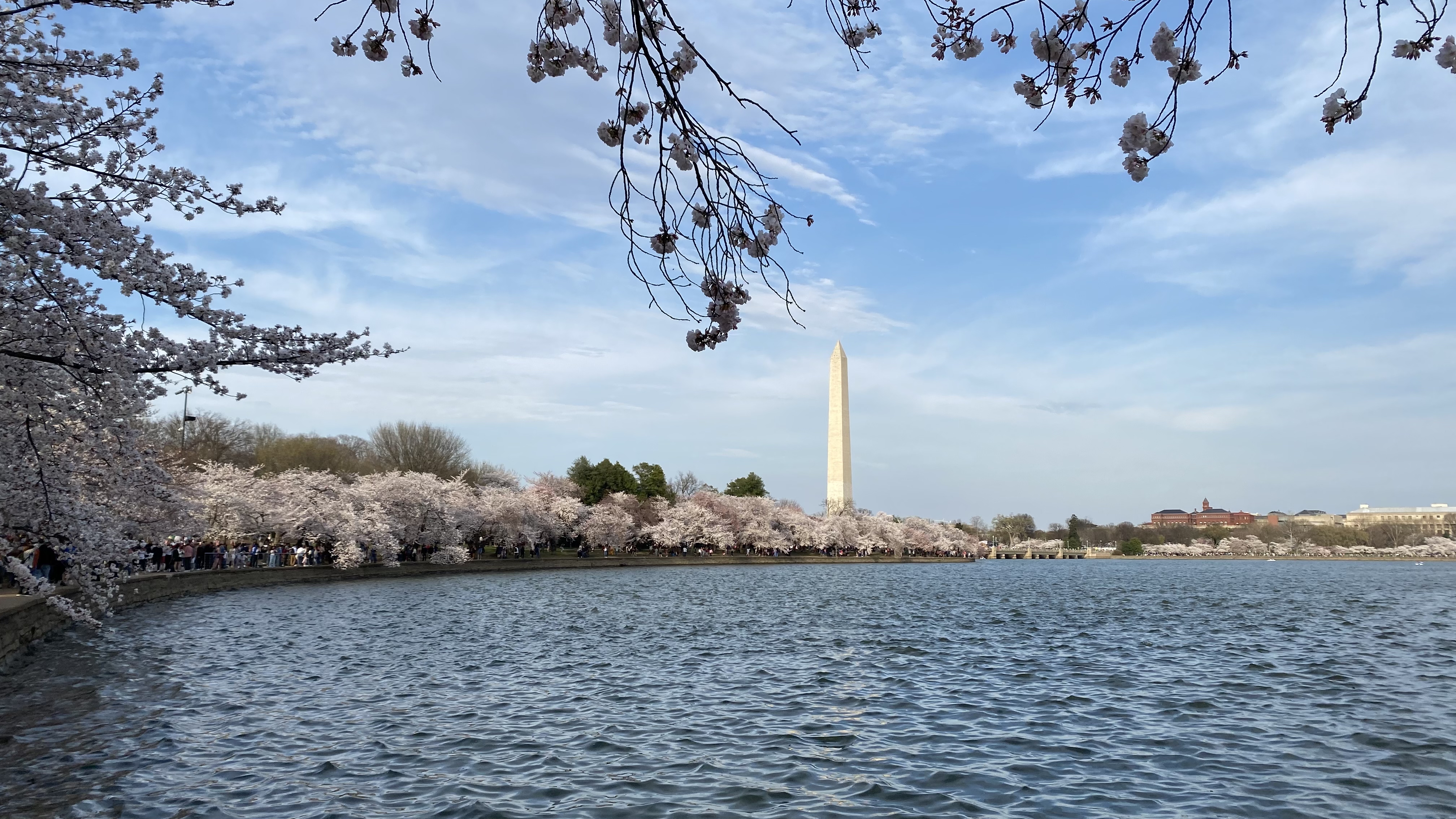 ӣPark Hyatt Washington DC