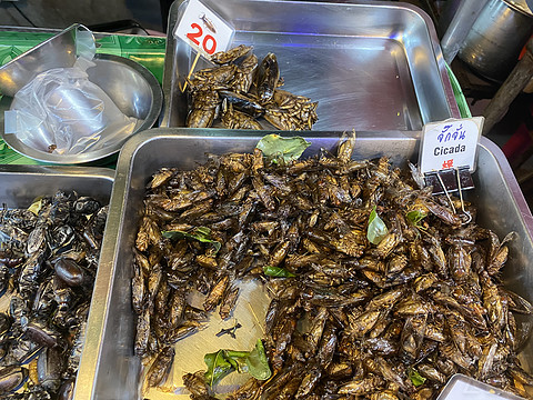 忆往昔普吉岛艾美海滩度假酒店