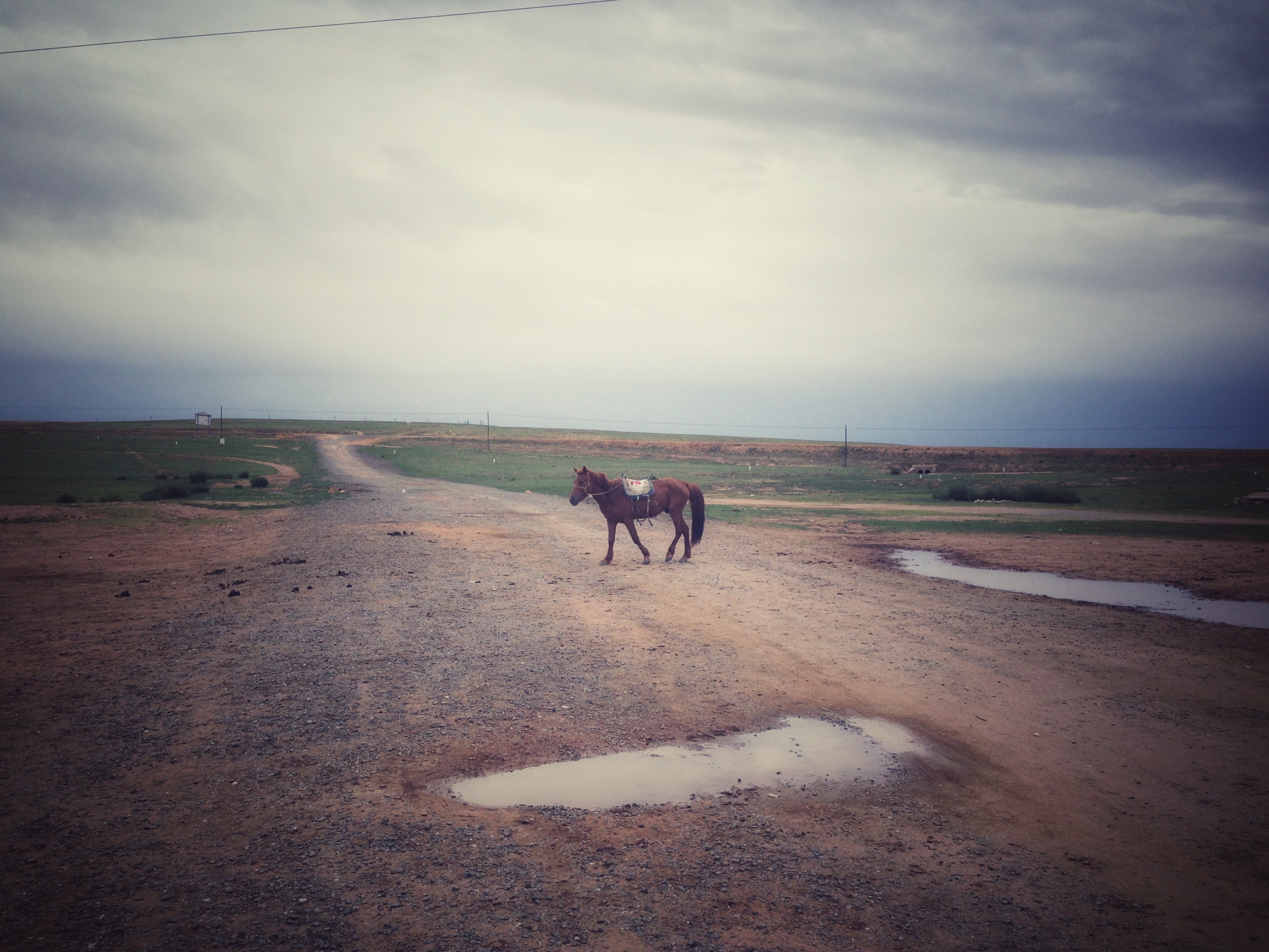 69Aɹš ϣɹŰ־Զ  /2014 2021 / #
