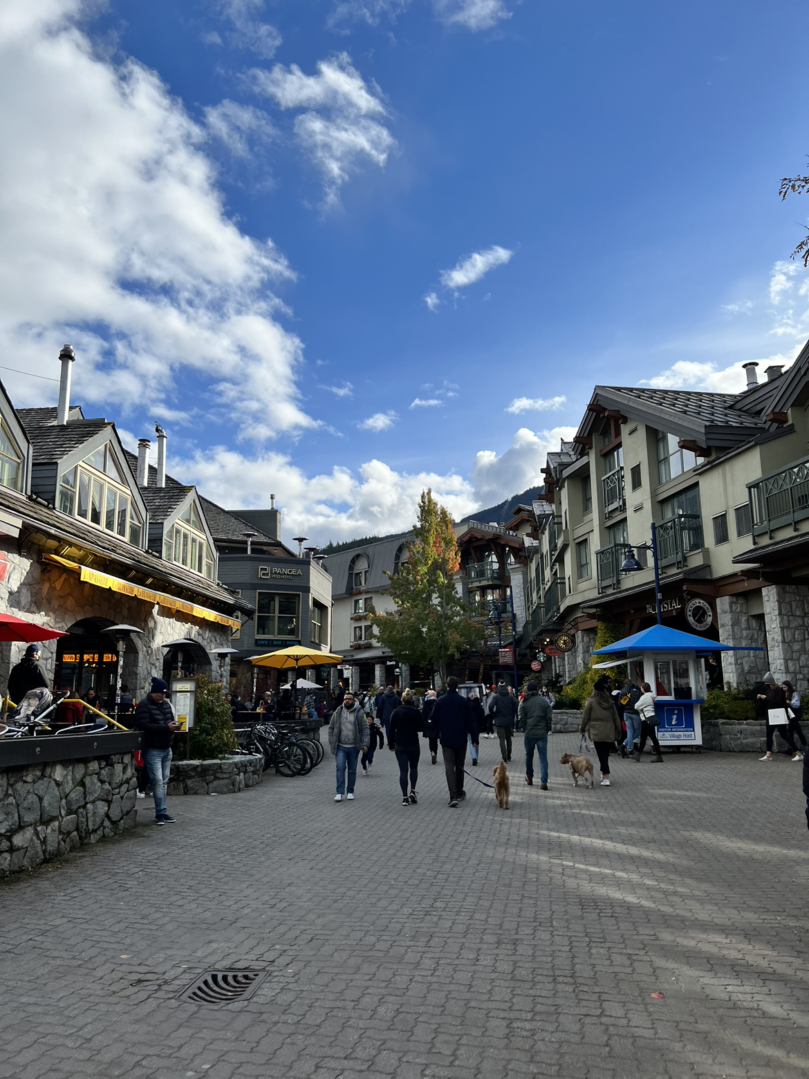 ¸绪ĩ | The Westin Resort & Spa, Whistler ˹˹͡ȼٴ