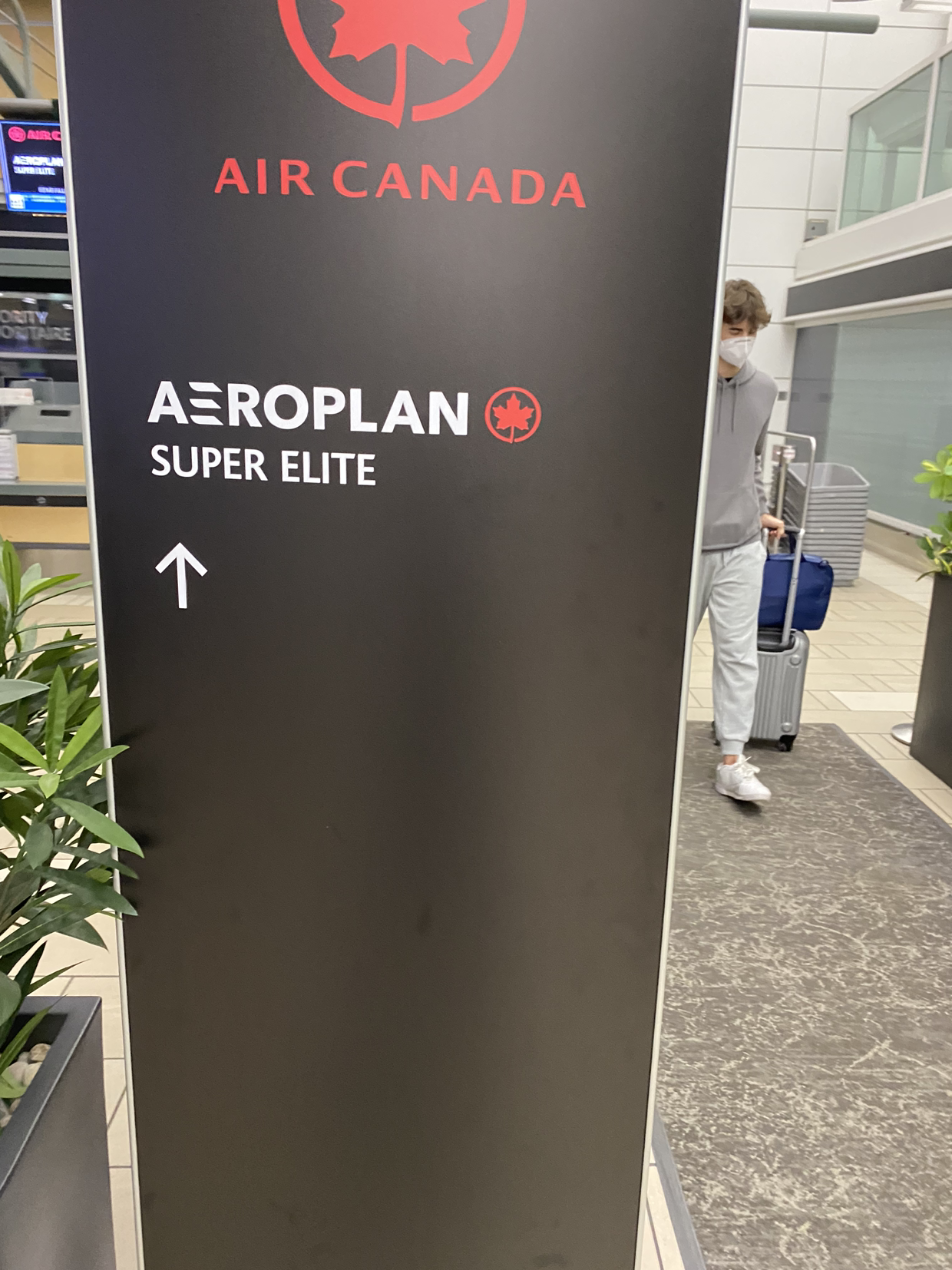 ˢ֮¸绪-׶--¸绪 ¸绪ҶϢ Air Canada Bistro 