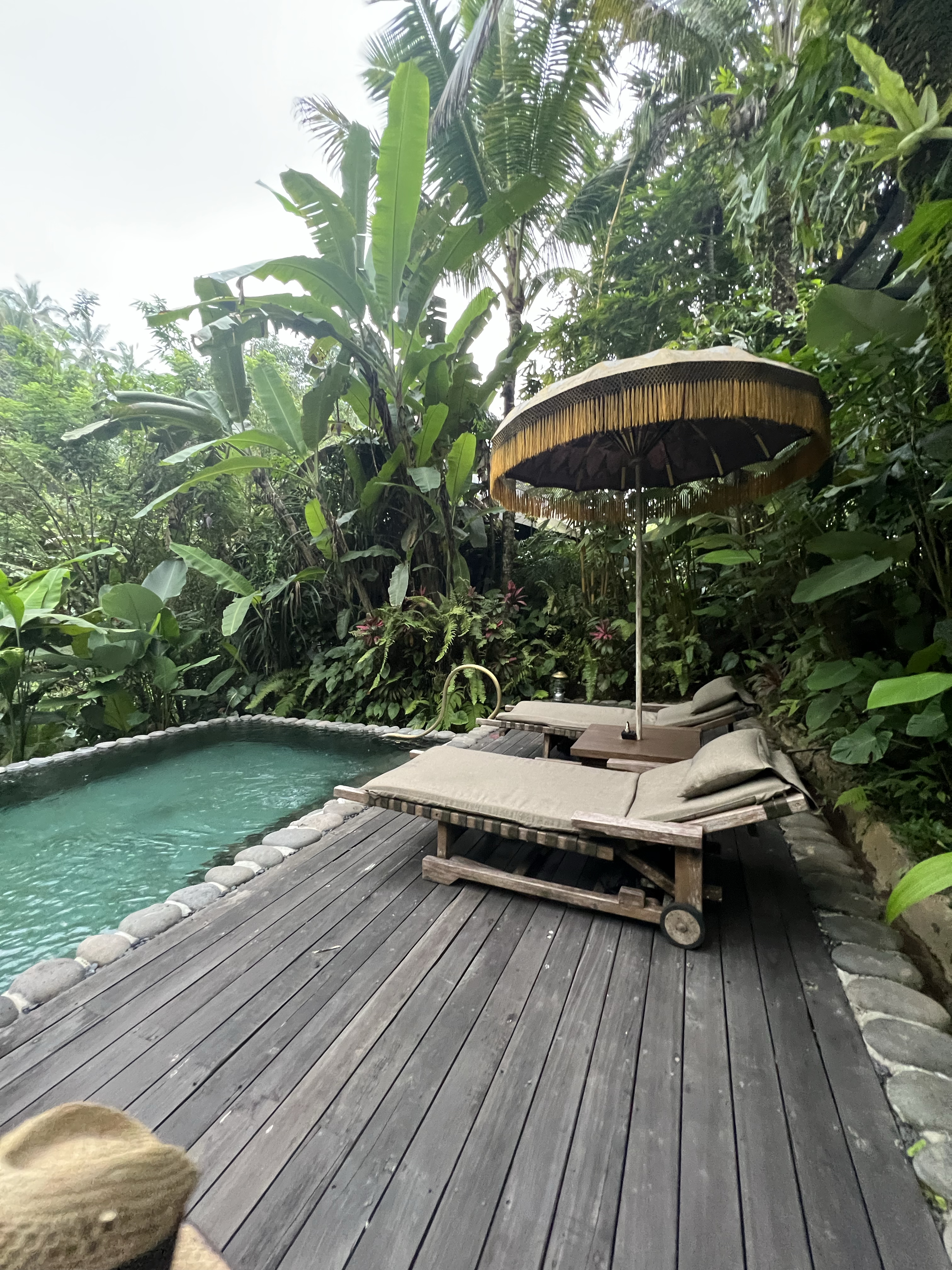 嵺ڲCapella Bali Ubud - Ҫúܶ