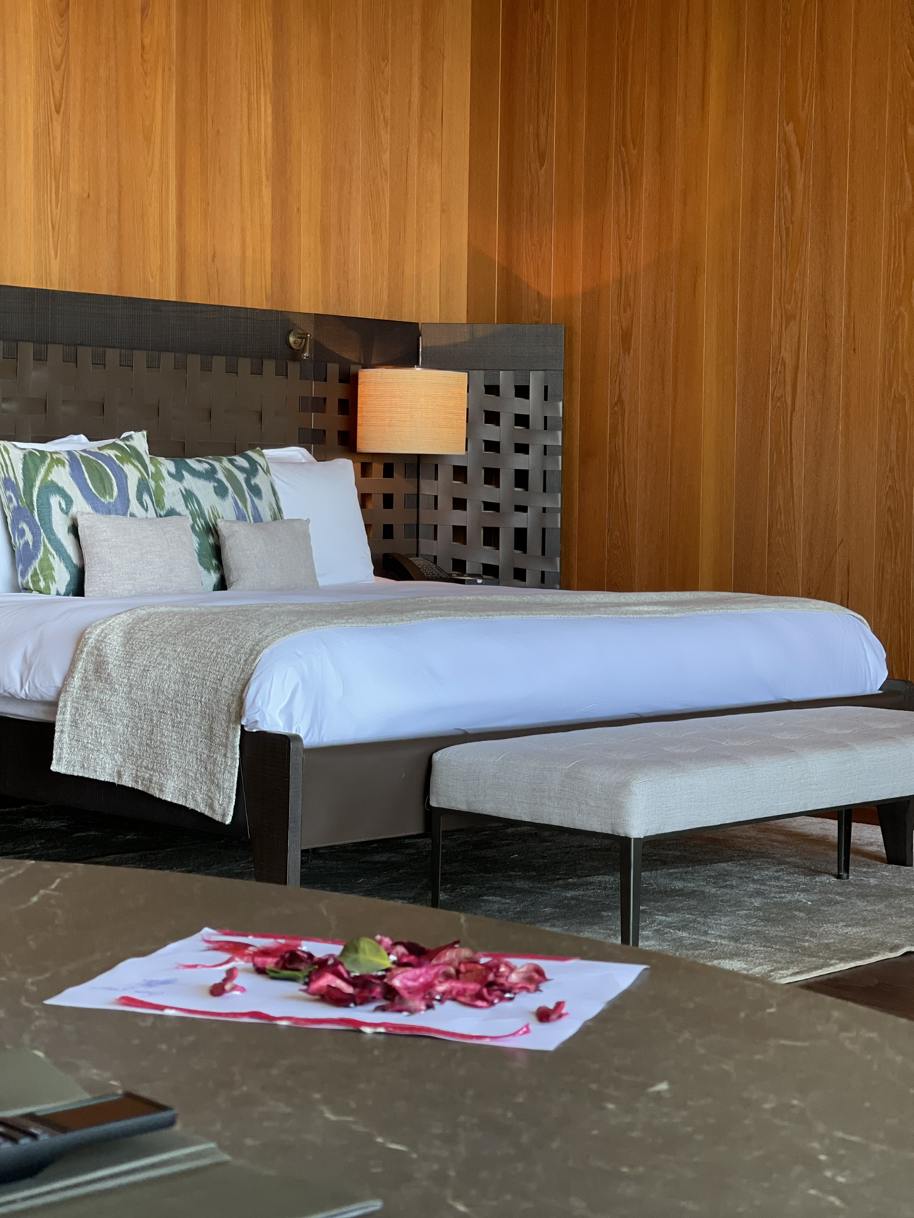 ȫȫ䲩³ķĻMandarin Oriental Bodrum MOȫ콢ȼٴ