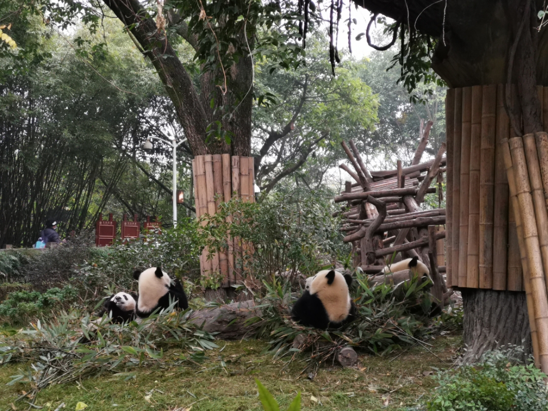 츮èУ׷ն