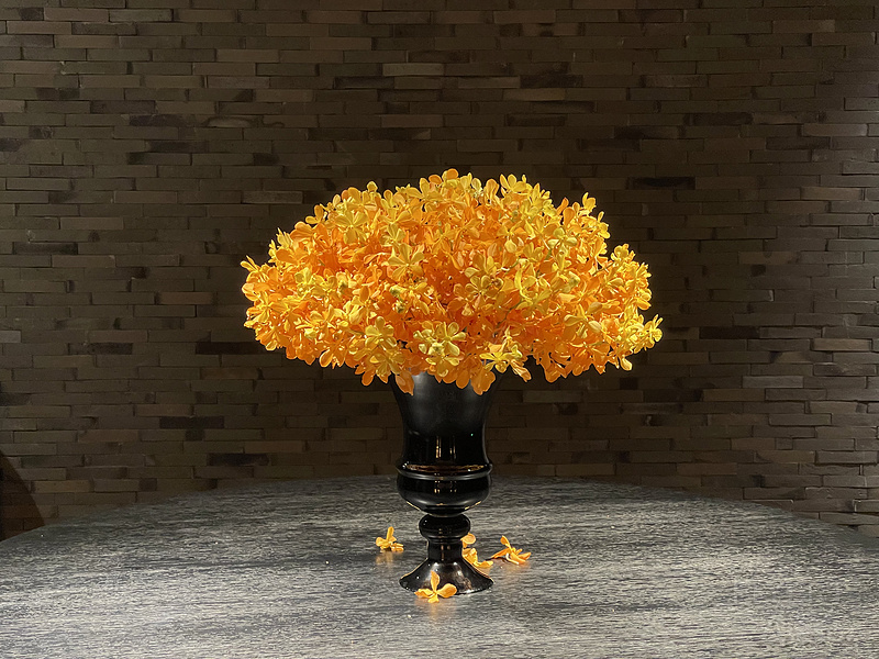 155430HMTITXASACOGULJX.png 155430HMTITXASACOGULJX.png
