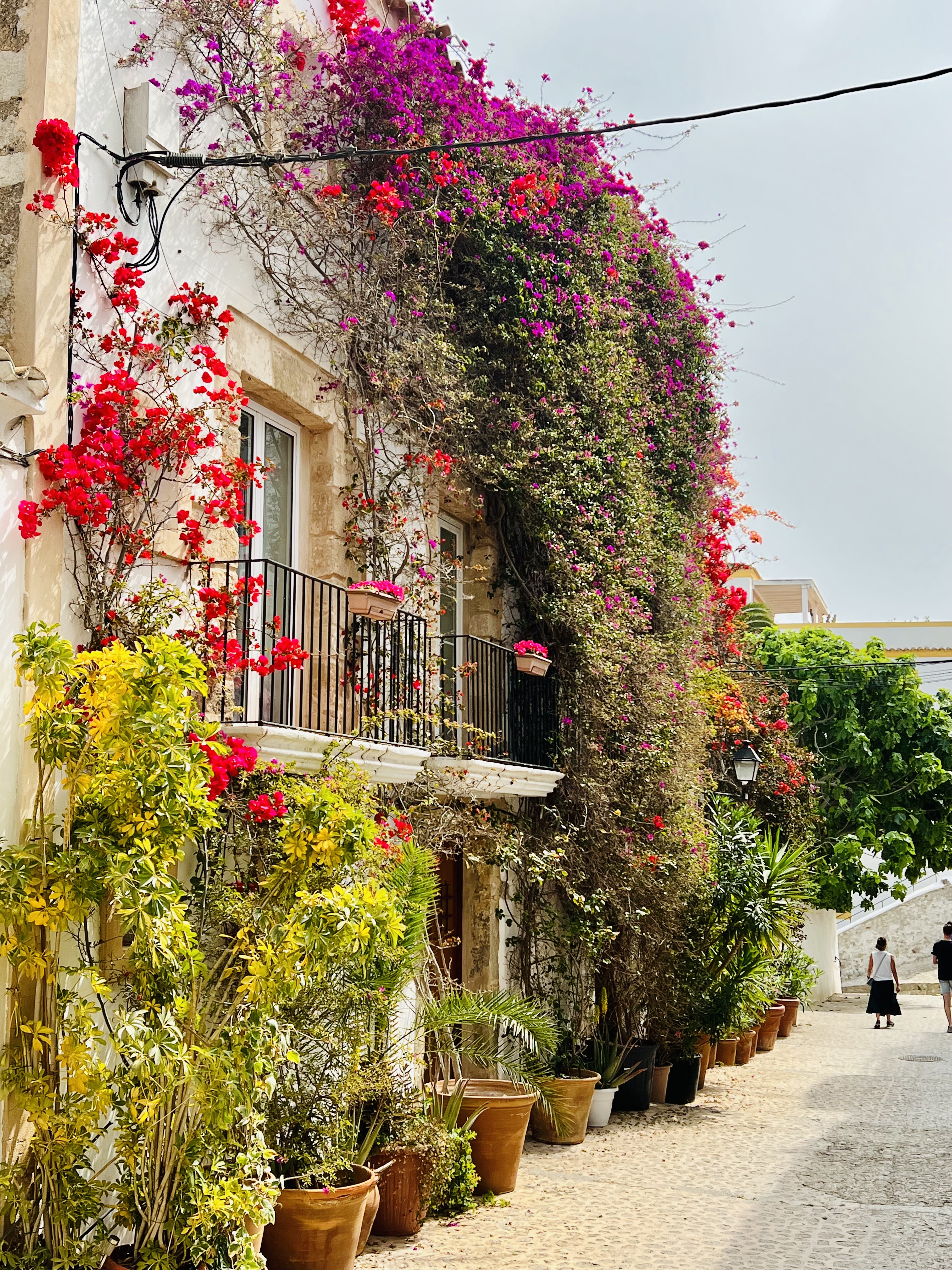 Wɫ֮Hotel Riomar IbizaƷ֮ѡƵ