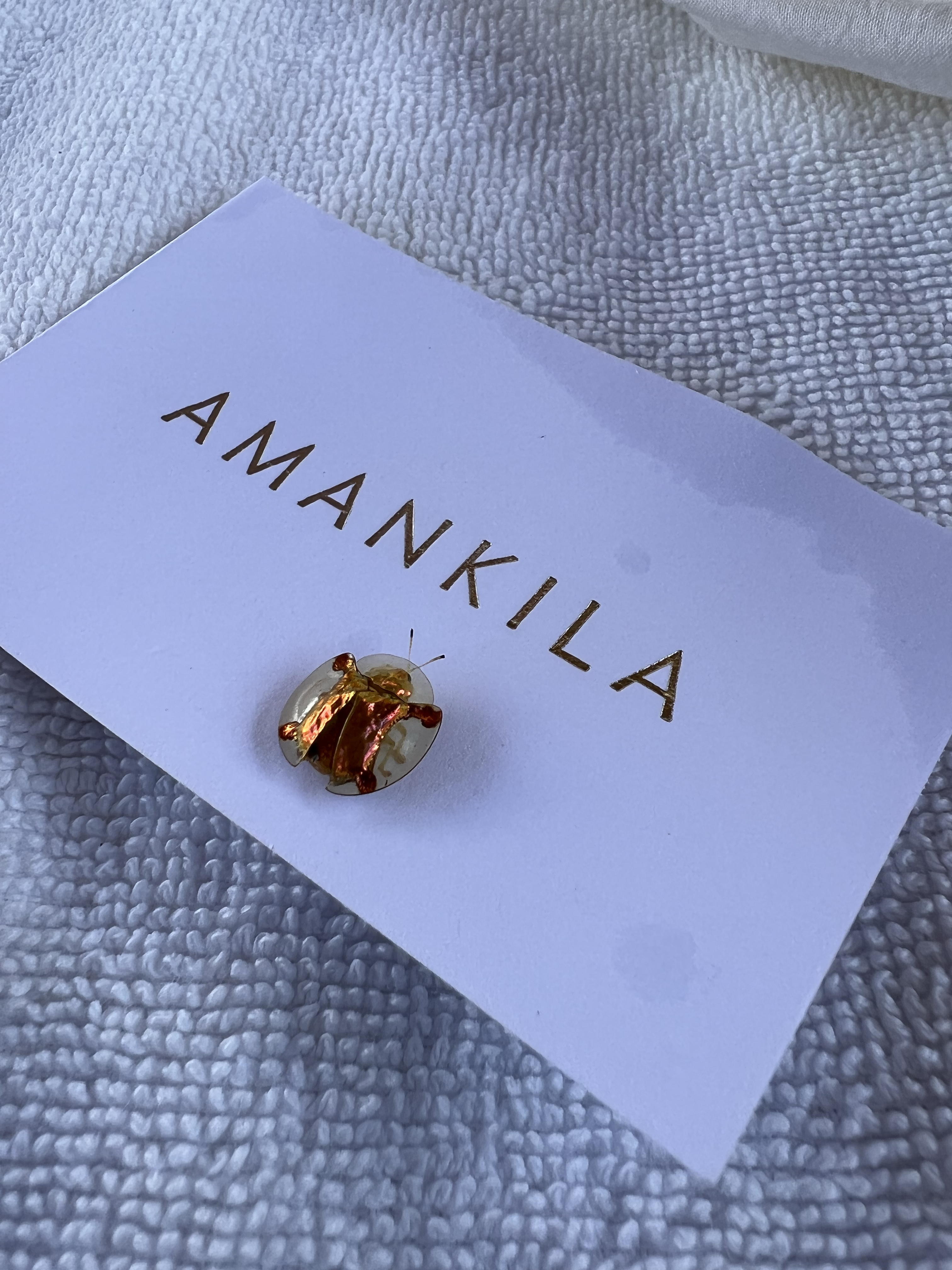״Ρ嵺ϾƵ Amankila