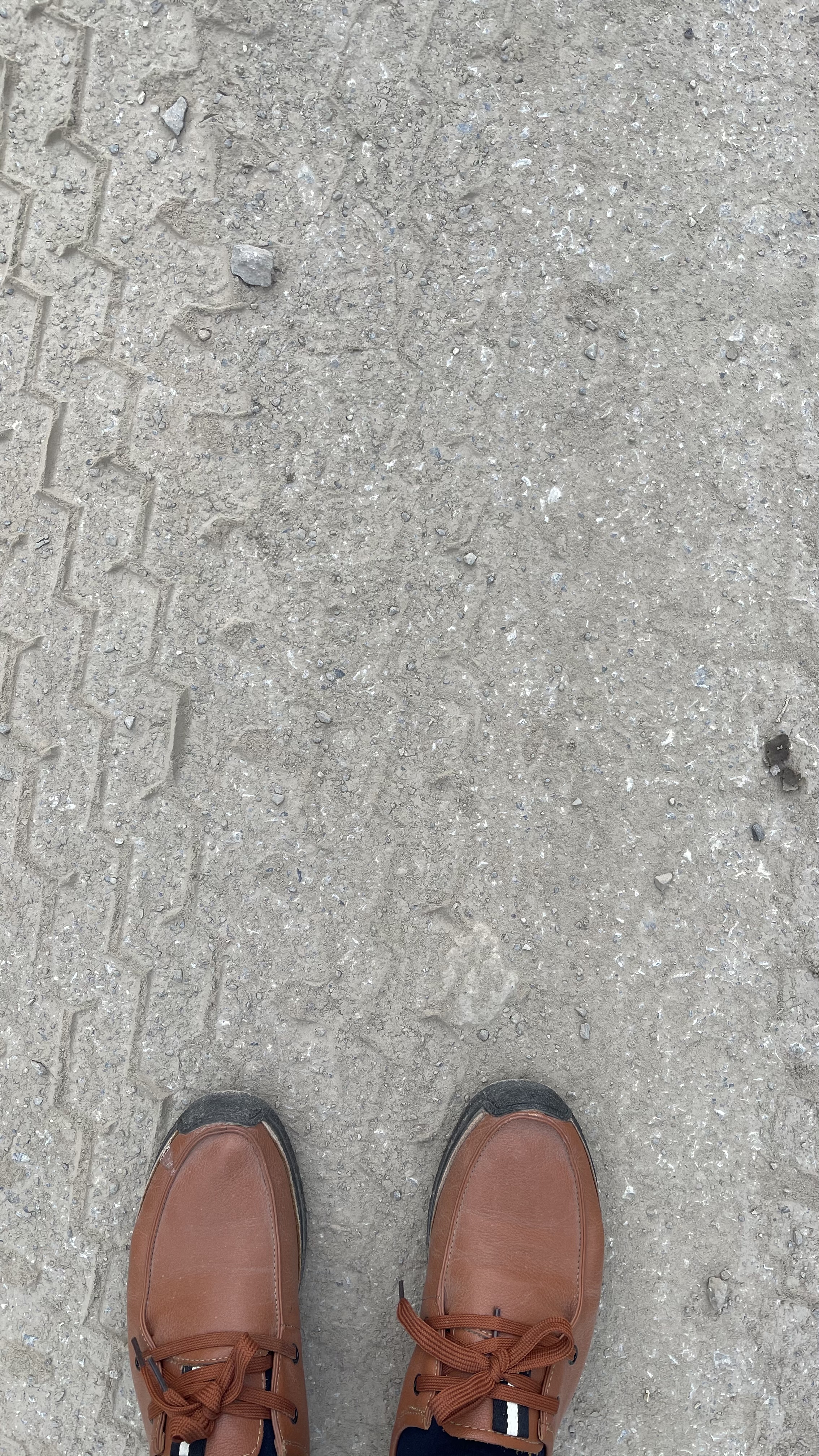 կ˼