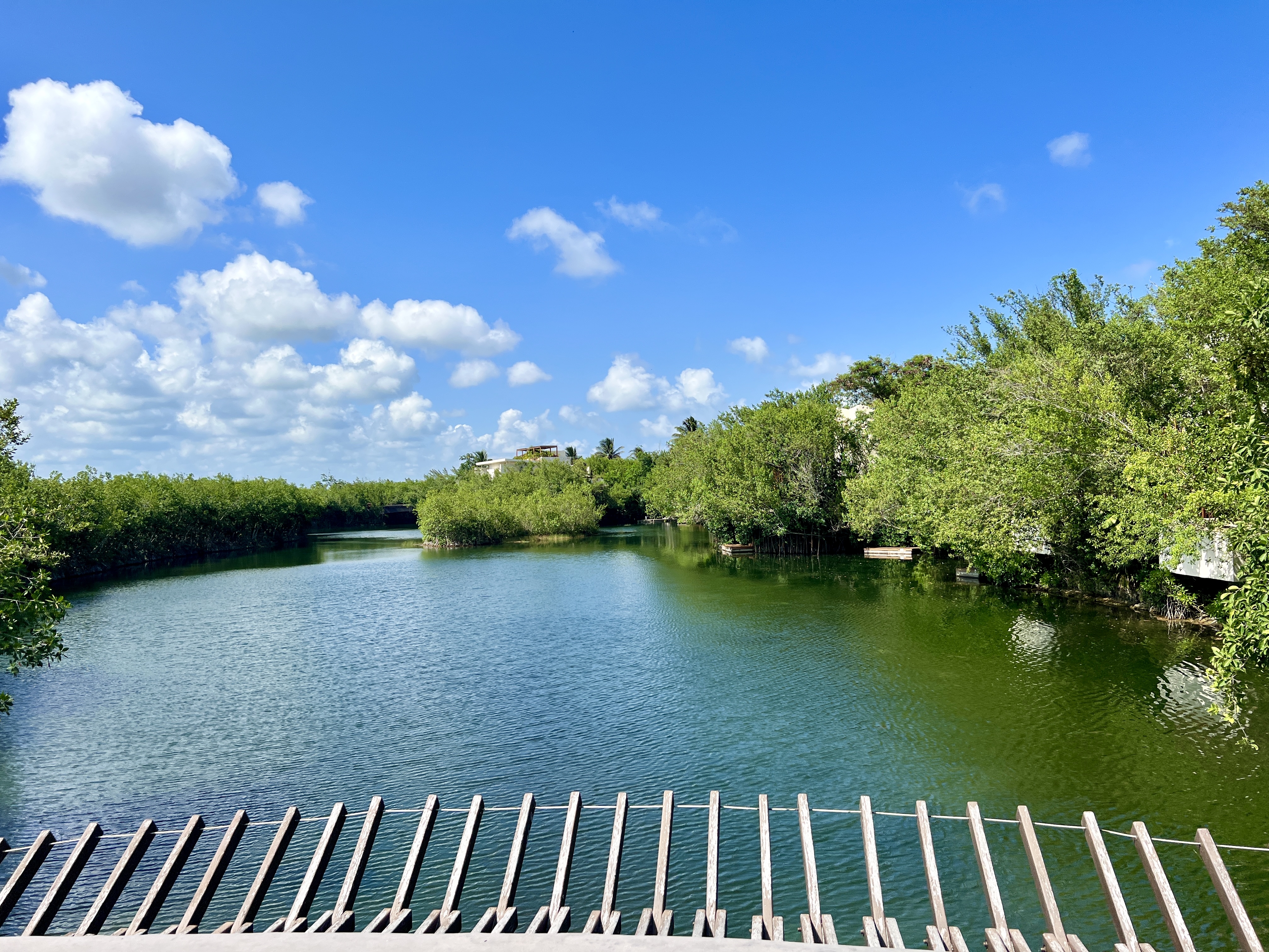 ī翲СڶȼپƵ Andaz Mayakoba